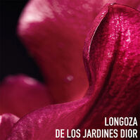 CAPTURE TOTALE C.E.L.L ENERGY Rich Creme  50ml-211653 CAPTURE TOTALE C.E.L.L ENERGY Rich Creme  50ml-211653 4